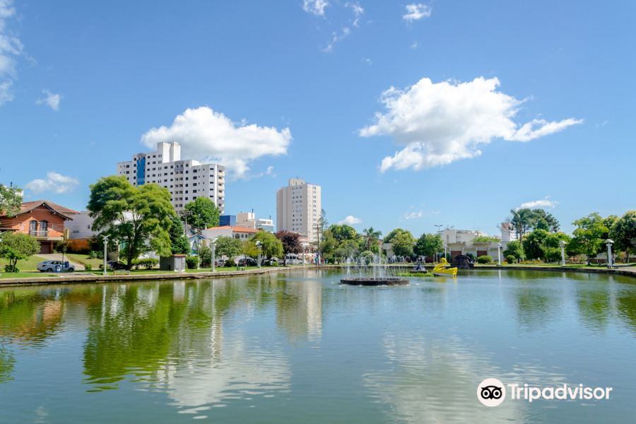 Londrina to Lages Flights