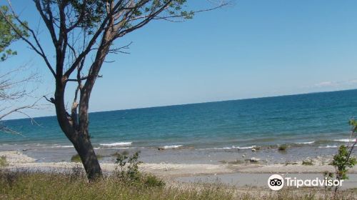 Craigleith Provincial Park