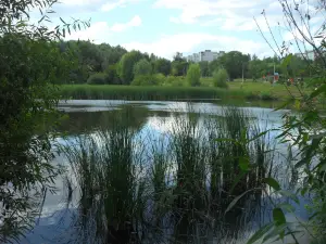 Park Voronezhskiye Ozora