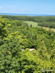 Mountain Park Lookout Tower