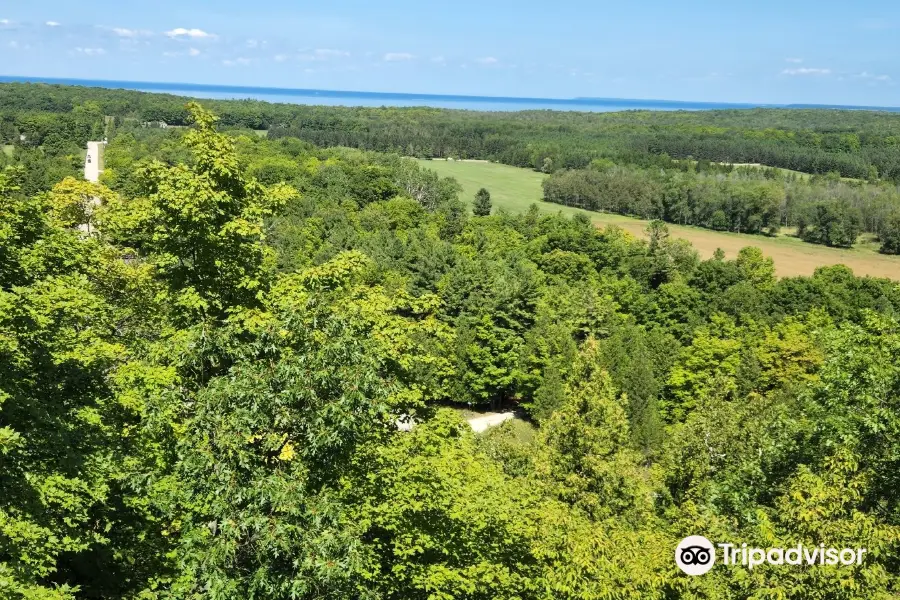 Mountain Park Lookout Tower