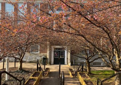 Staunton Public Library