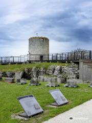 Musée et Site Gallo-Romains du Fâ