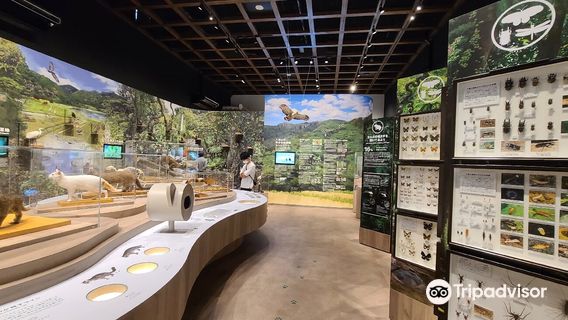 Iriomote Wildlife Conservation Center