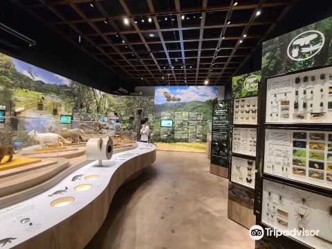 Iriomote Wildlife Conservation Center