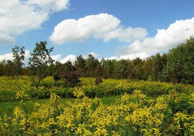 Jardín botánico de Pittsburgh