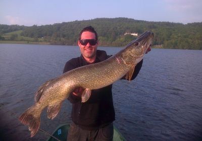 Esthwaite water trout fishery