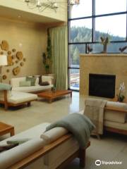 The Coeur d'Alene Resort Spa