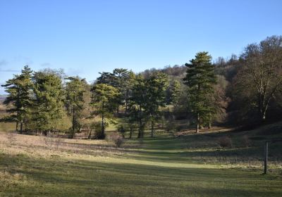 Tring Park