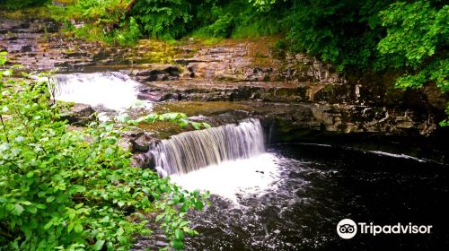 Stainforth Force