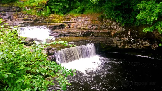 Stainforth Force