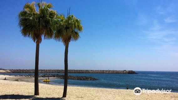 Miyazaki Seaside Park