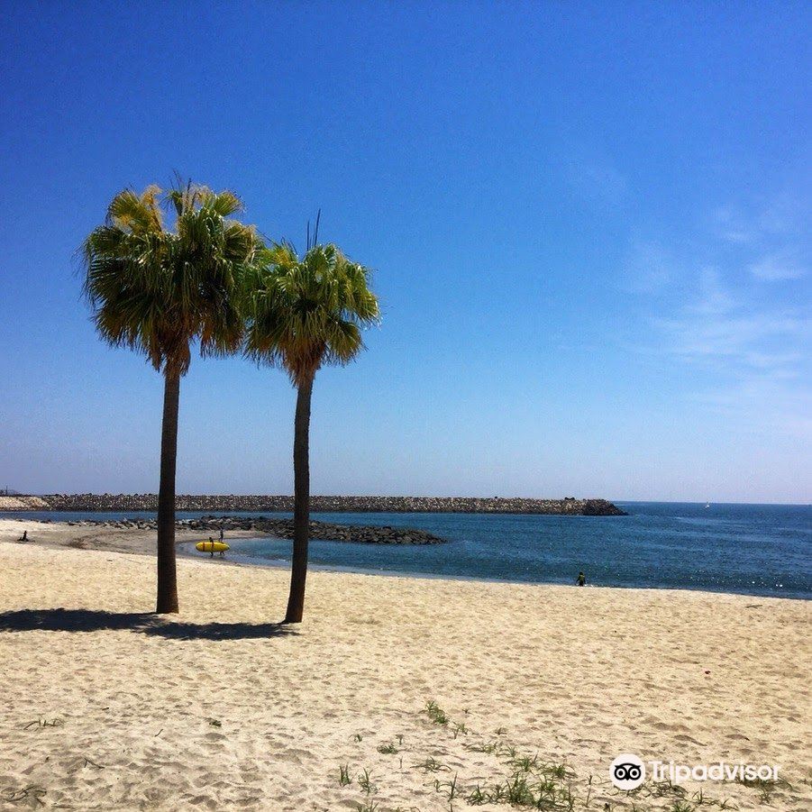 Miyazaki Seaside Park