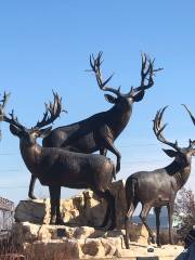 Bass Pro Shops (Formerly Cabela's)