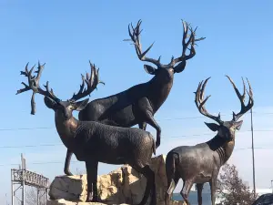 Bass Pro Shops (Formerly Cabela's)