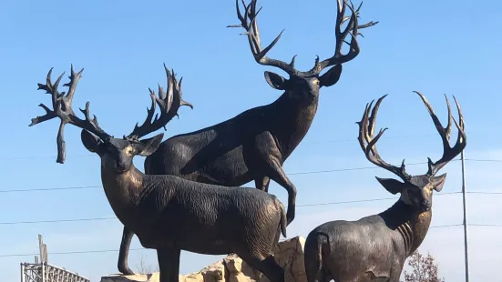 Bass Pro Shops (Formerly Cabela's)