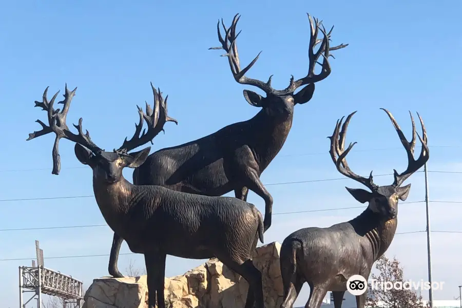 Bass Pro Shops (Formerly Cabela's)