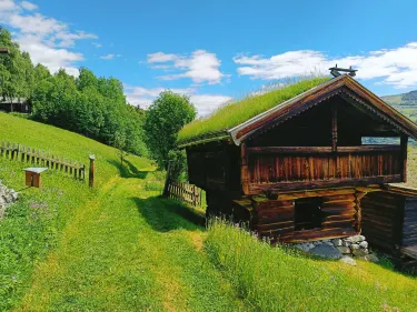 Ål