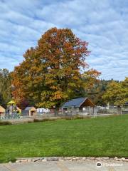 Juanita Beach Park