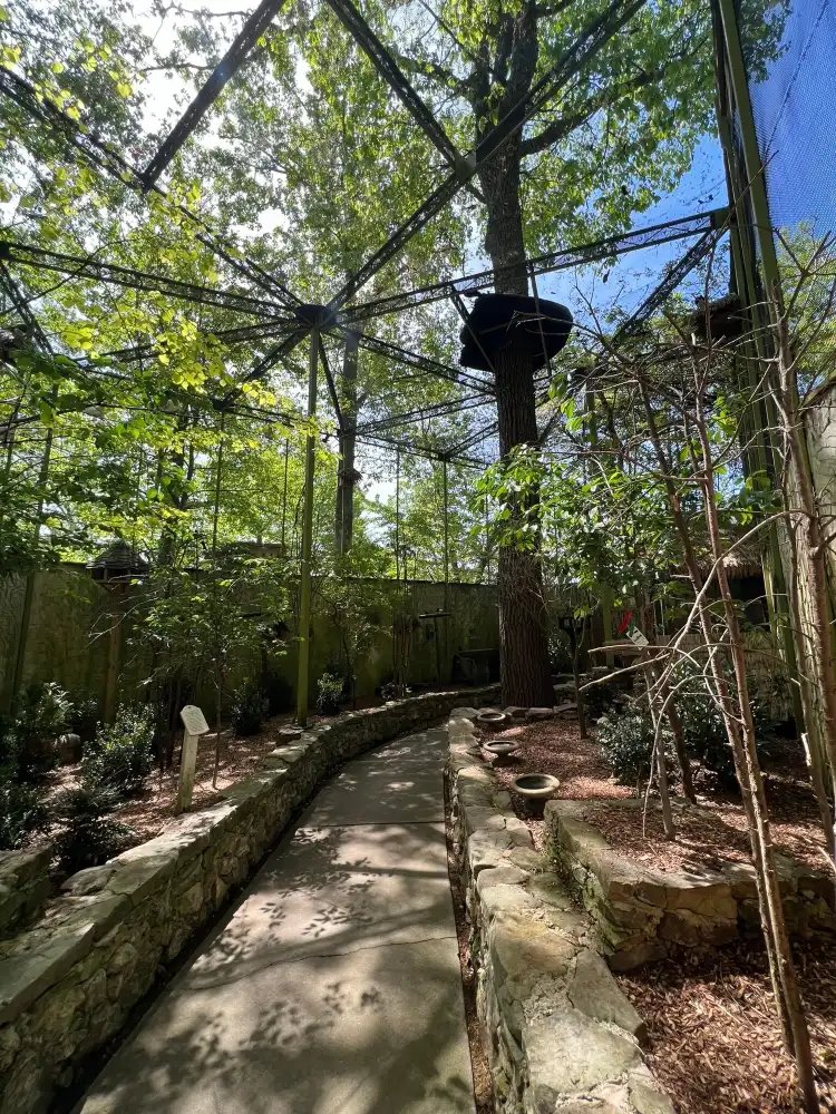 Hotels near Parrot Mountain and Gardens