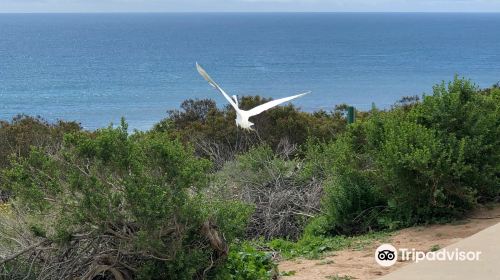 Malibu Bluffs Park