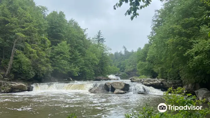 5_Swallow Falls State Park