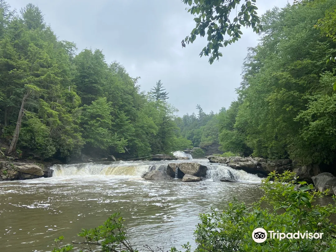 5_Swallow Falls State Park