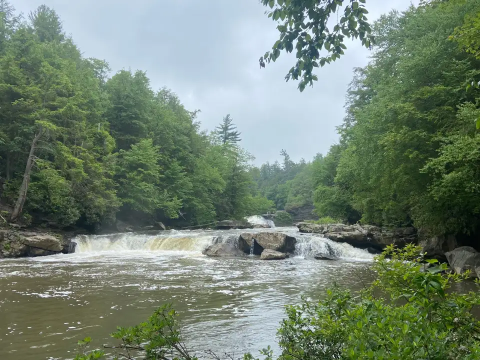 5_Swallow Falls State Park