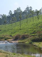 Koolangal River