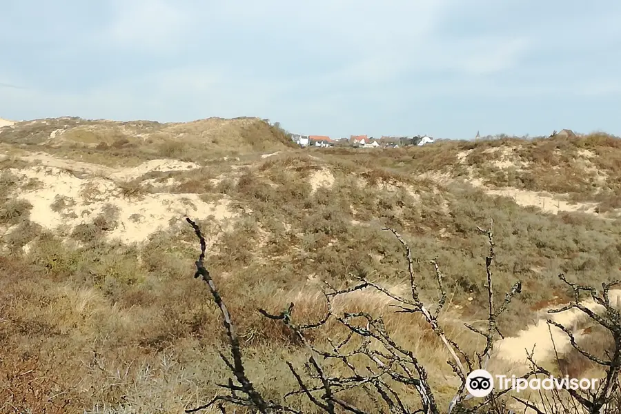 Dunes de la Slack