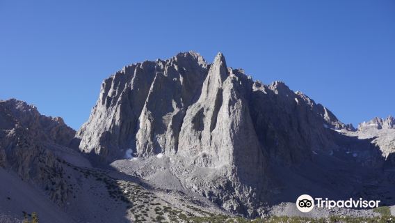 Inyo National Forest
