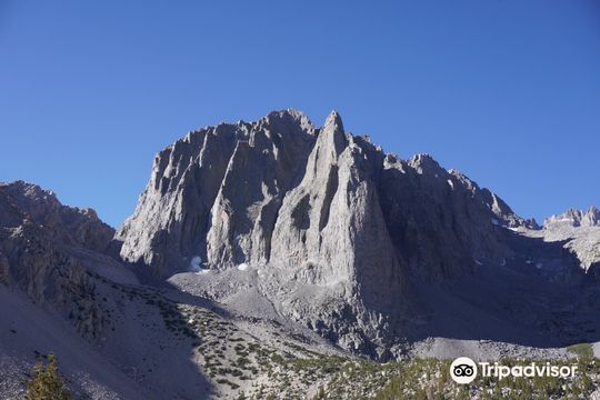 Inyo National Forest