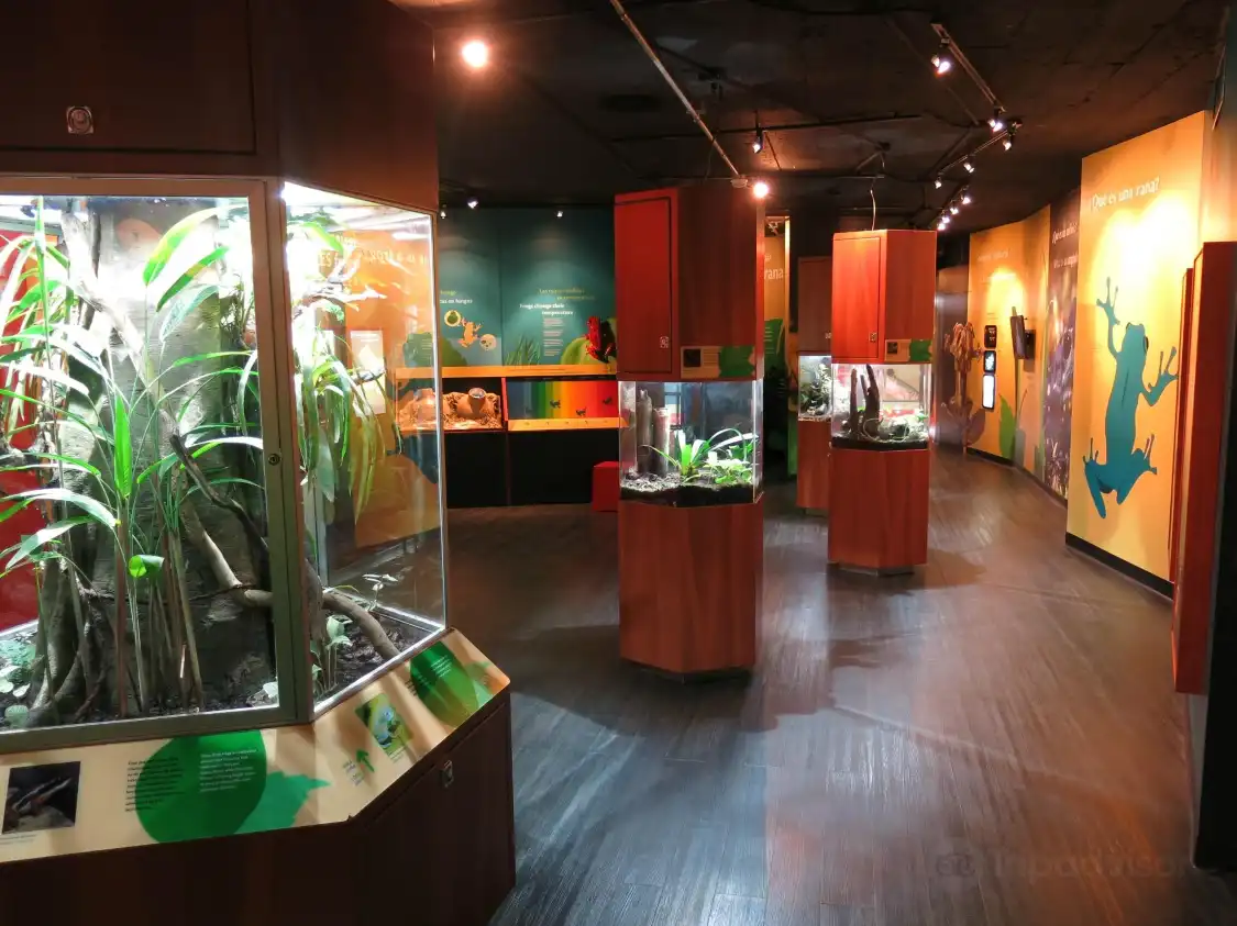 Hotels near Punta Culebra Nature Center