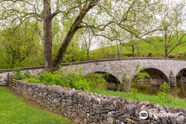 Historic Burnside Stone Bridge