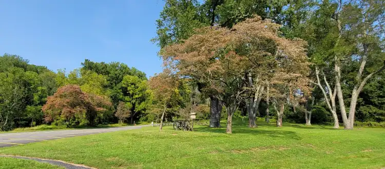 Xã Chadds Ford