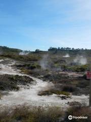 Taupo Horse Treks