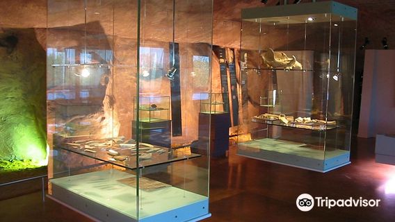 La Maison de la Dame