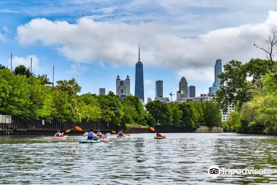 Kayak Chicago