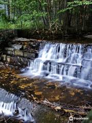 Buchanan's Birthplace State Park