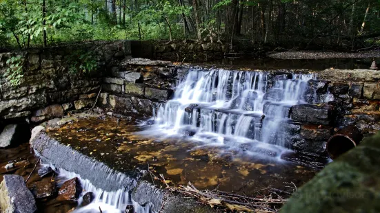 Buchanan's Birthplace State Park