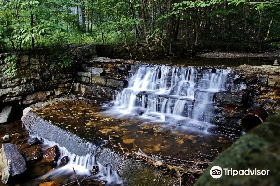 Buchanan's Birthplace State Park