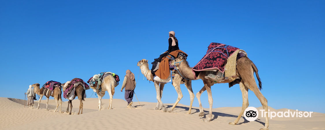 travel