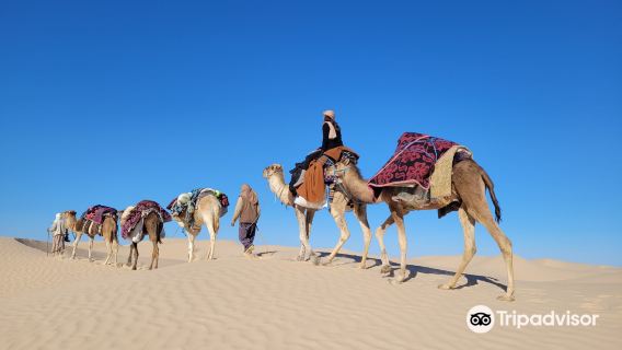 Sahha Sahara