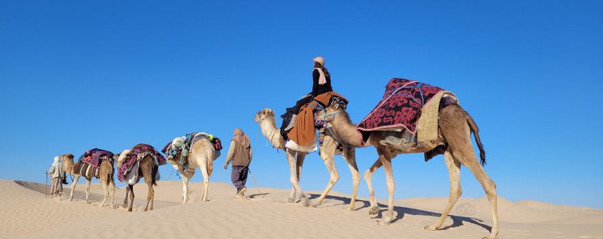 Sahha Sahara