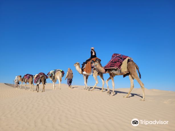 Sahha Sahara