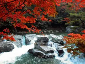 Okutsu valley