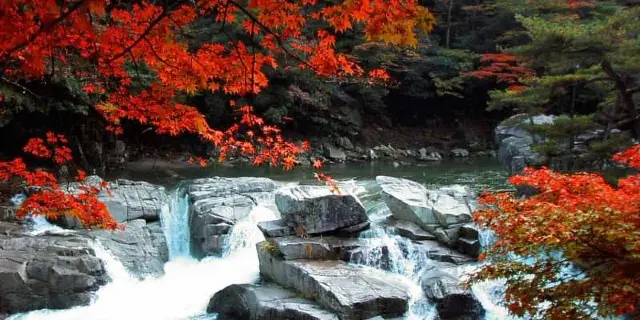 日本の古切手 美しい日本 自然(イエロー・オレンジ) 24枚 日本切手