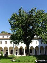 Diocesan Museum of Brescia