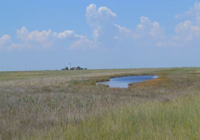 Biryuch Island