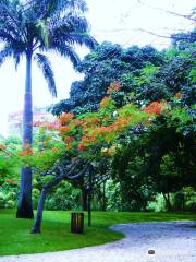 Parque Fernando Penalver